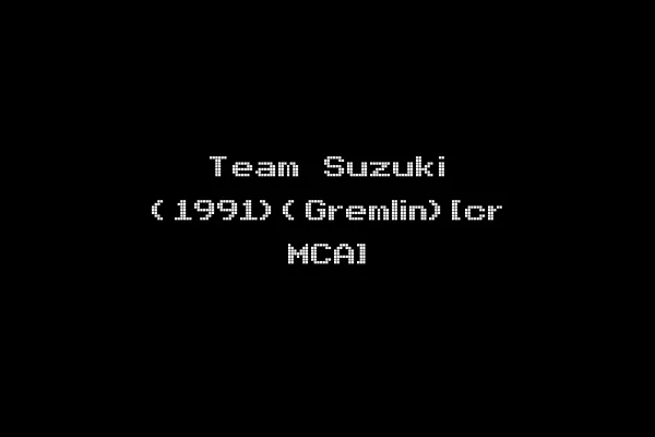 Team Suzuki (1991)(Gremlin)[cr MCA]