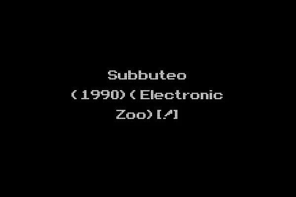 Subbuteo (1990)(Electronic Zoo)[!]