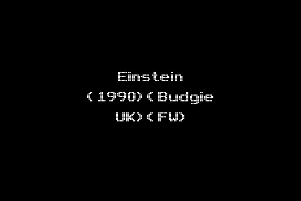 Einstein (1990)(Budgie UK)(FW)