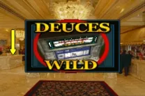 2 in 1 - Golden Nugget Casino & Texas Hold'em Poker (E)(Independent)