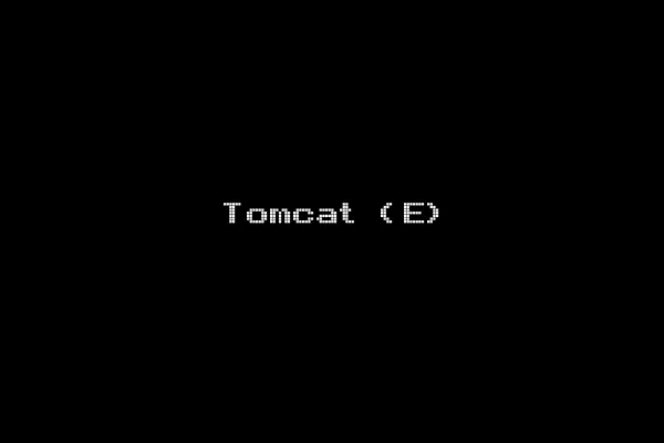 Tomcat (E)