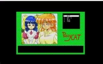 Anzu Fly! (1991)(Pussy Cat)