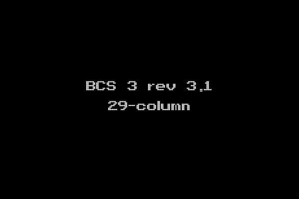 BCS 3 rev 3.1 29-column
