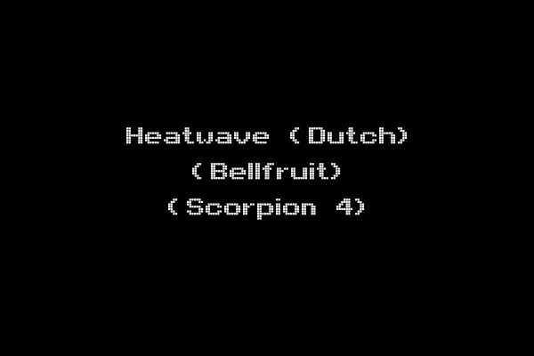 Heatwave (Dutch) (Bellfruit) (Scorpion 4)