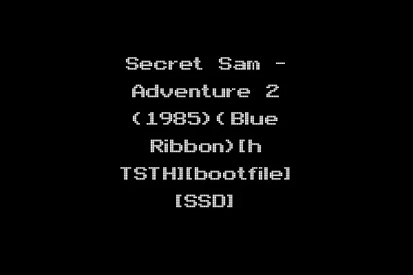 Secret Sam - Adventure 2 (1985)(Blue Ribbon)[h TSTH][bootfile] [SSD]
