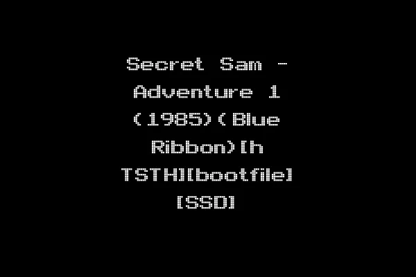 Secret Sam - Adventure 1 (1985)(Blue Ribbon)[h TSTH][bootfile] [SSD]