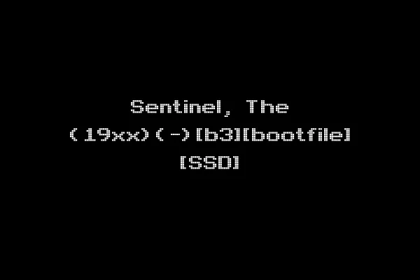 Sentinel, The (19xx)(-)[b3][bootfile] [SSD]