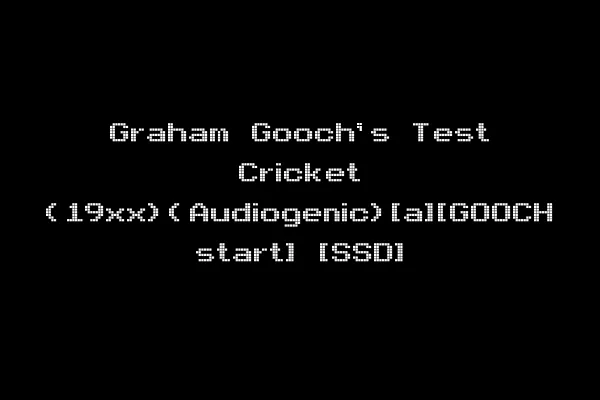 Graham Gooch's Test Cricket (19xx)(Audiogenic)[a][GOOCH start] [SSD]