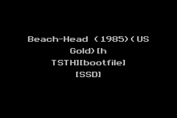 Beach-Head (1985)(US Gold)[h TSTH][bootfile] [SSD]