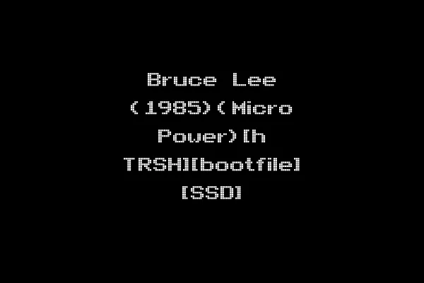 Bruce Lee (1985)(Micro Power)[h TRSH][bootfile] [SSD]