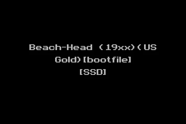 Beach-Head (19xx)(US Gold)[bootfile] [SSD]