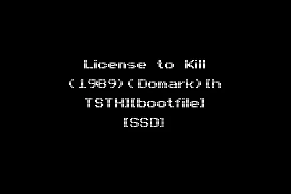 License to Kill (1989)(Domark)[h TSTH][bootfile] [SSD]