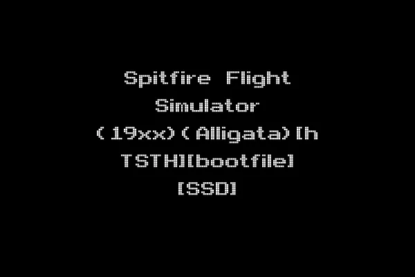 Spitfire Flight Simulator (19xx)(Alligata)[h TSTH][bootfile] [SSD]