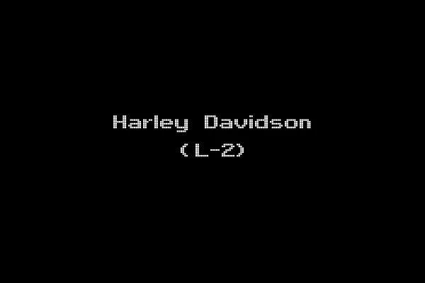 Harley Davidson (L-2)
