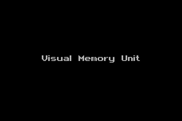 Visual Memory Unit