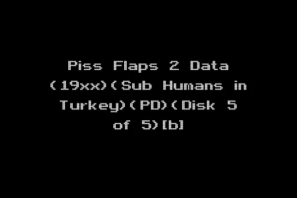 Piss Flaps 2 Data (19xx)(Sub Humans in Turkey)(PD)(Disk 5 of 5)[b]