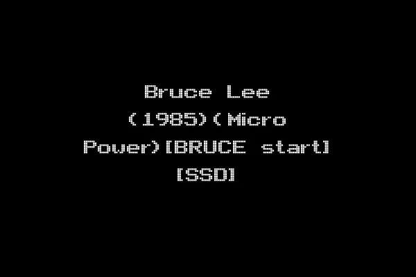 Bruce Lee (1985)(Micro Power)[BRUCE start] [SSD]