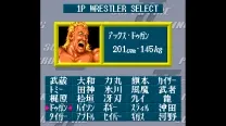 Super Fire Pro Wrestling 2 (Japan)