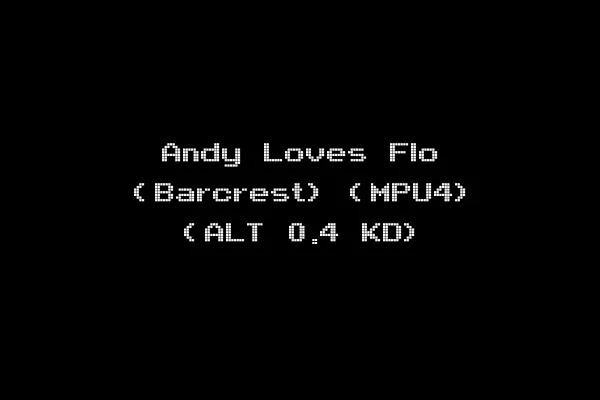 Andy Loves Flo (Barcrest) (MPU4) (ALT 0.4 KD)