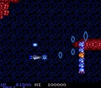 Salamander (Japan)