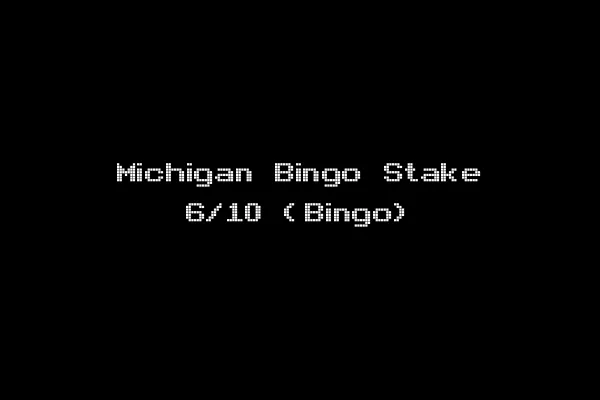 Michigan Bingo Stake 6/10 (Bingo)