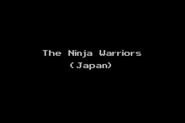 The Ninja Warriors (Japan)