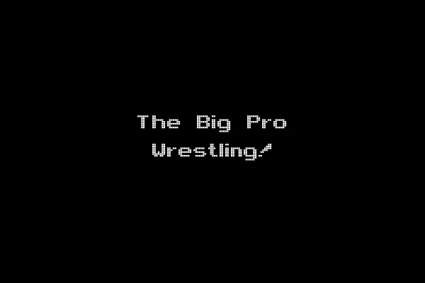 The Big Pro Wrestling!