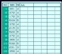 Power Golf (USA)
