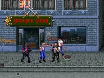Double Dragon 3 - The Rosetta Stone (Japan)