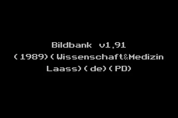 Bildbank v1.91 (1989)(Wissenschaft&Medizin Laass)(de)(PD)