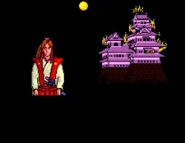 Kenseiden (USA, Europe)