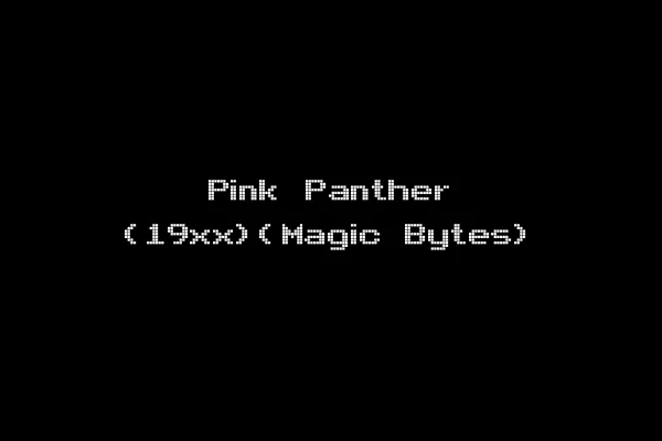 Pink Panther (19xx)(Magic Bytes)