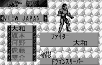 Fire Pro Wrestling (J) [M]