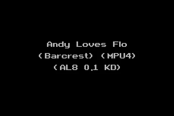 Andy Loves Flo (Barcrest) (MPU4) (AL8 0.1 KD)