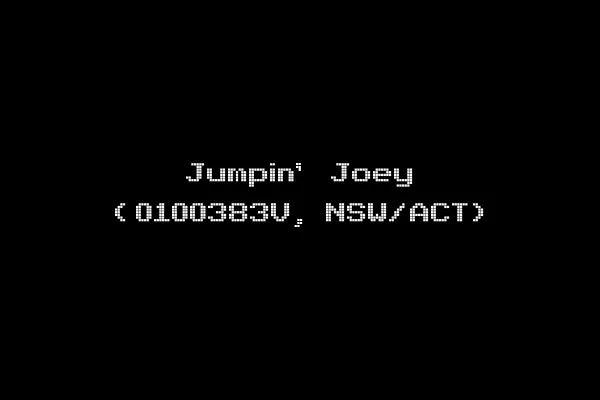 Jumpin' Joey (0100383V, NSW/ACT)
