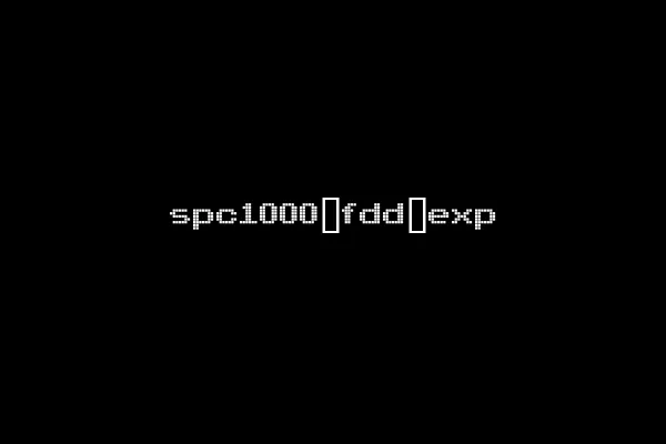 spc1000_fdd_exp