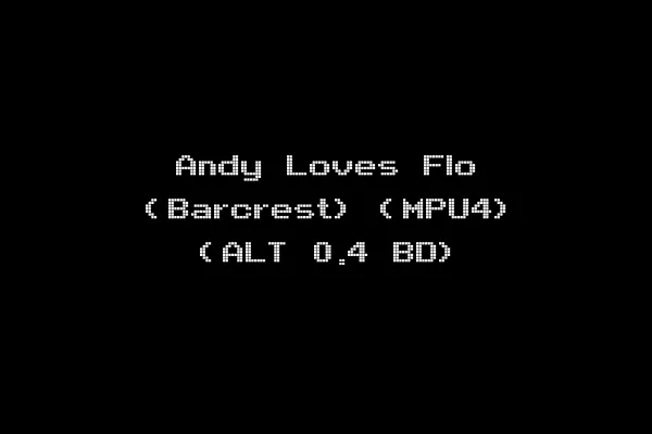 Andy Loves Flo (Barcrest) (MPU4) (ALT 0.4 BD)