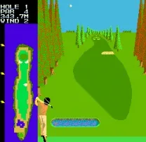 Competition Golf Final Round (Japan, old version)