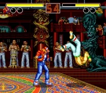 Fatal Fury (USA)