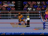 WWF Royal Rumble (World)