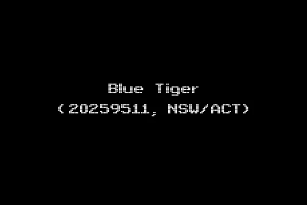 Blue Tiger (20259511, NSW/ACT)