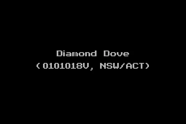 Diamond Dove (0101018V, NSW/ACT)