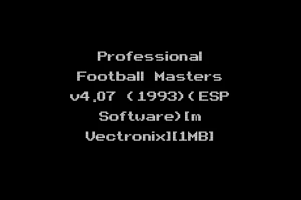 Professional Football Masters v4.07 (1993)(ESP Software)[m Vectronix][1MB]