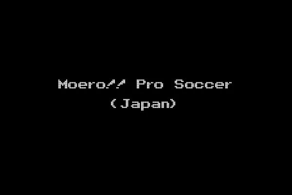 Moero!! Pro Soccer (Japan)