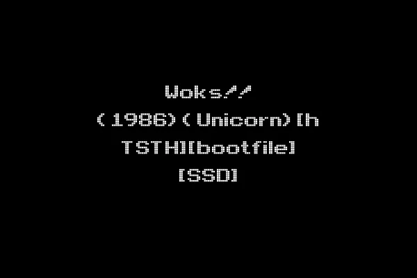 Woks!! (1986)(Unicorn)[h TSTH][bootfile] [SSD]