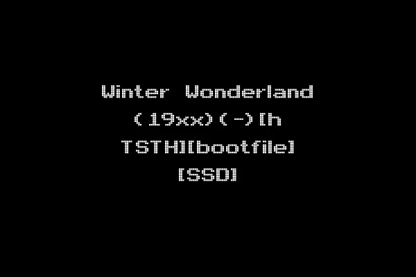 Winter Wonderland (19xx)(-)[h TSTH][bootfile] [SSD]