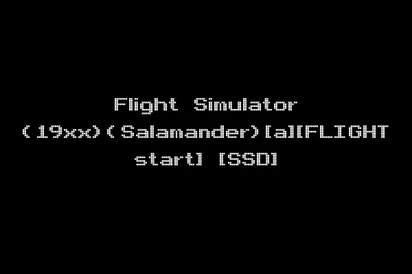 Flight Simulator (19xx)(Salamander)[a][FLIGHT start] [SSD]