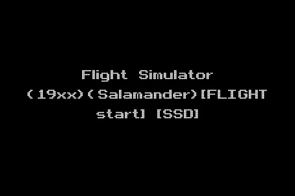 Flight Simulator (19xx)(Salamander)[FLIGHT start] [SSD]
