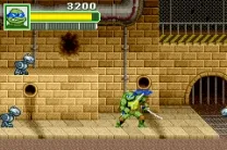 Teenage Mutant Ninja Turtles - Double Pack (U)(Sir VG)
