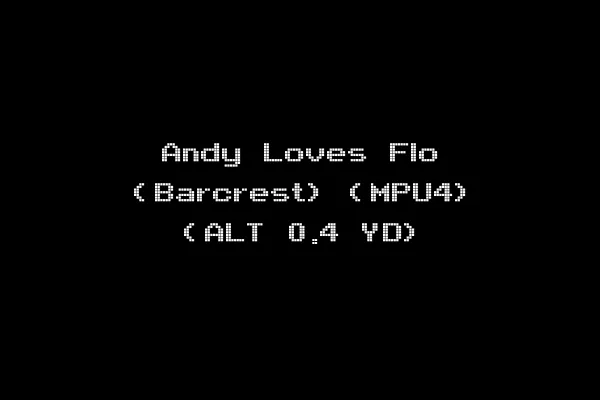 Andy Loves Flo (Barcrest) (MPU4) (ALT 0.4 YD)